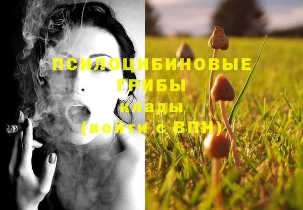 метамфетамин Каменка