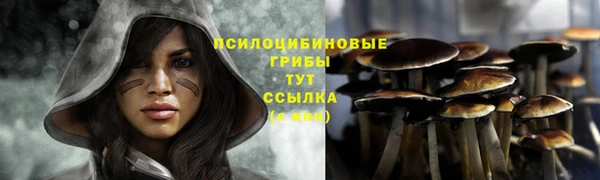 jwh Каменногорск